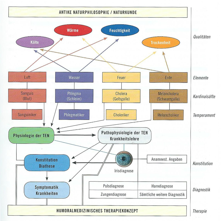 Humoralmedizinisches-Therapiekonzept Chart Humoralmedizinisches-Therapiekonzept