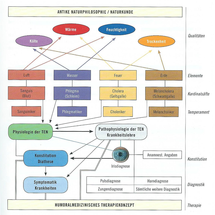 Chart Humoralmedizinisches-Therapiekonzept