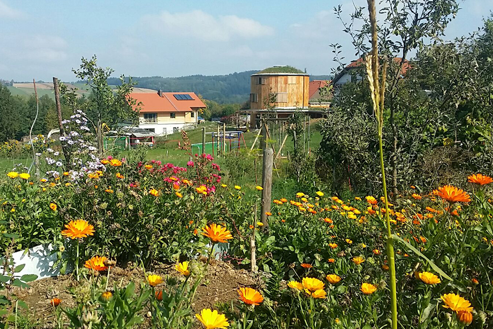 Obst- und Kräutergarten Claudia Waldner