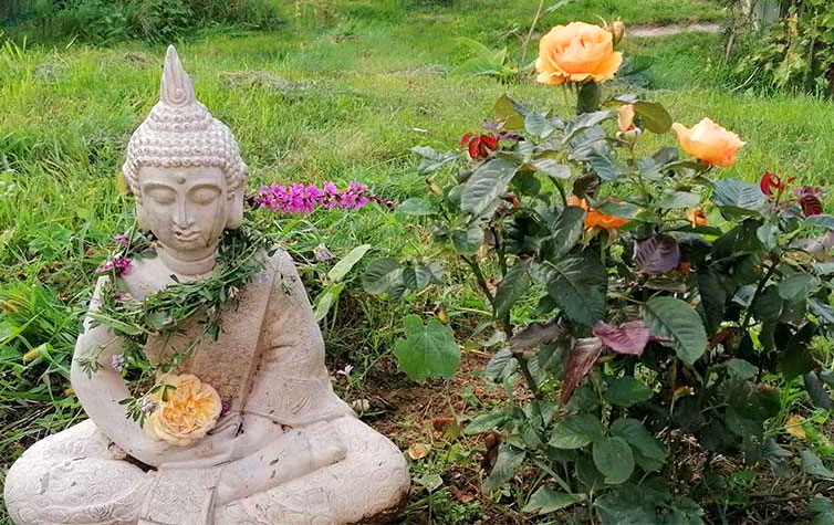 Gartenimpressionen Buddha + gelbe Rosen