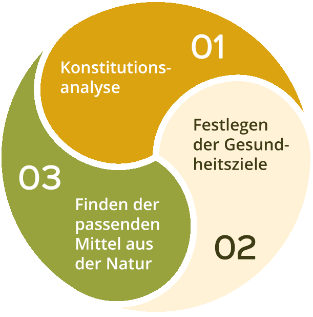 Grafik: 01 Konstitutionsanalyse 02 Festlegen der Gesundheitsziele 03 Finder der passenden Mittel aus der Natur